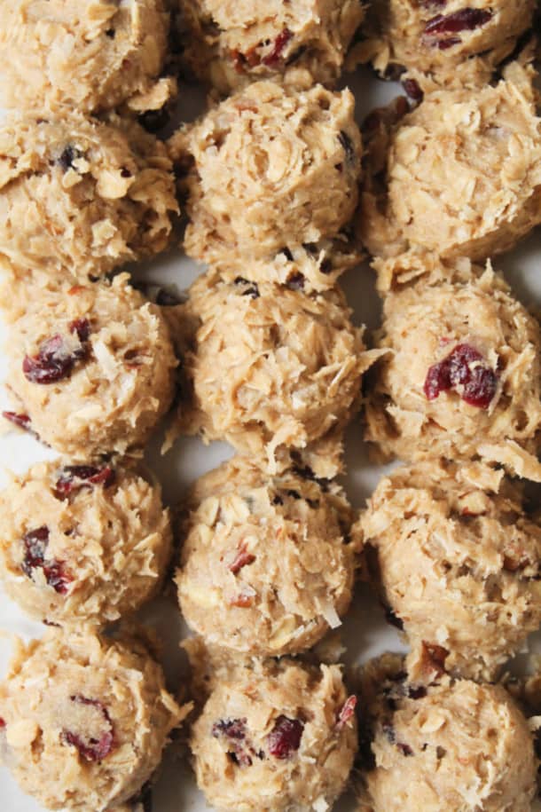 Cranberry Coconut Oatmeal Cookies (gluten-free) - Mile High Mitts