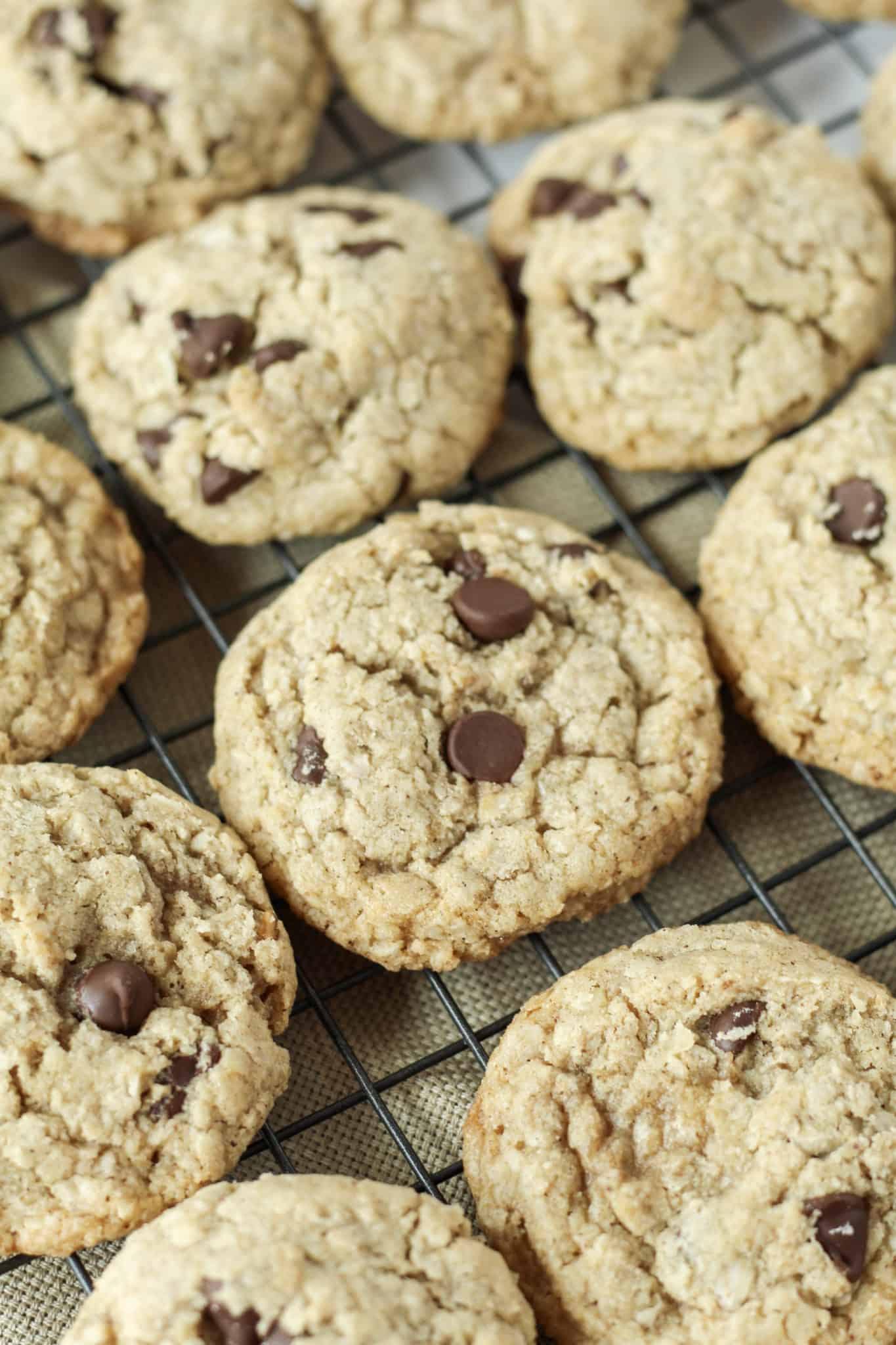 Oatmeal Chocolate Chip Cookies (gluten-free) - Mile High Mitts