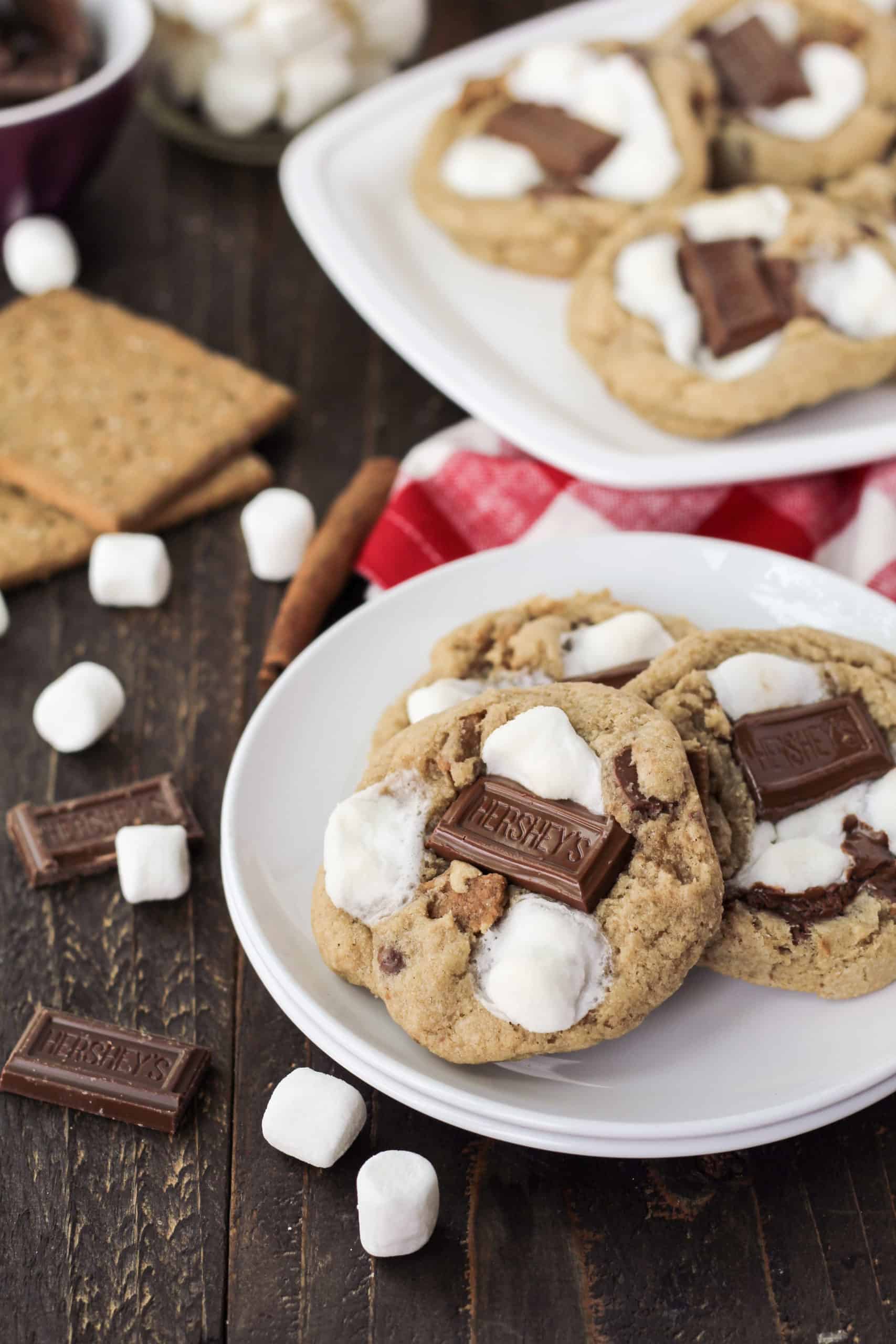 https://www.milehighmitts.com/wp-content/uploads/2021/07/smores-cookies-3-scaled.jpg